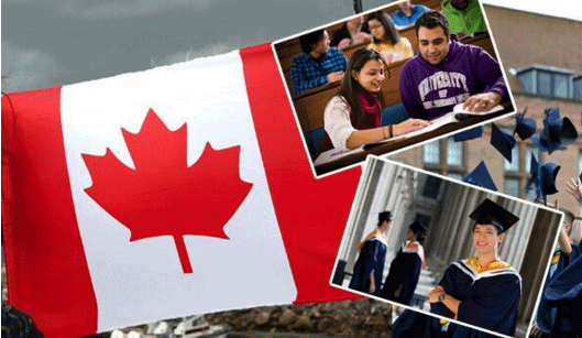加拿大移民部：签证过期今年可继续留在加拿大境内，申请加拿大本科正当时！